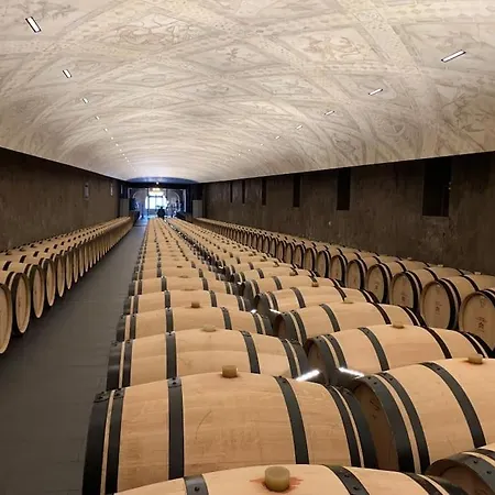 Confortable Aux Portes De Bordeaux Et Médoc Ludon-Médoc