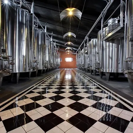 Confortable Aux Portes De Bordeaux Et Medoc * Ludon-Medoc