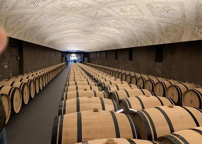 Confortable Aux Portes De Bordeaux Et Medoc Ludon-Médoc