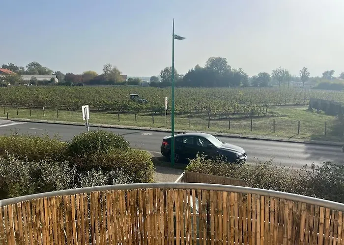 Confortable Aux Portes De Bordeaux Et Medoc Apartmán